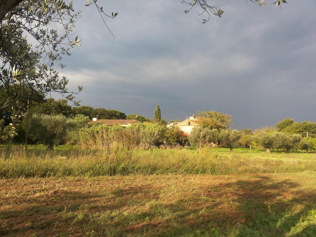 Casa Daria, Armonia Del Passato Nel Rispetto Della Natura Доноратико Экстерьер фото